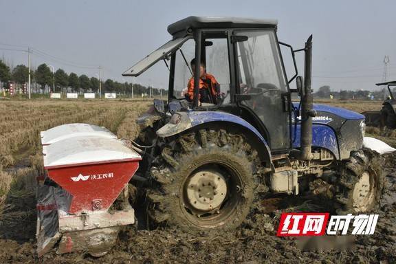 投入使用|视频｜一种新型农机在湖南益阳投入使用