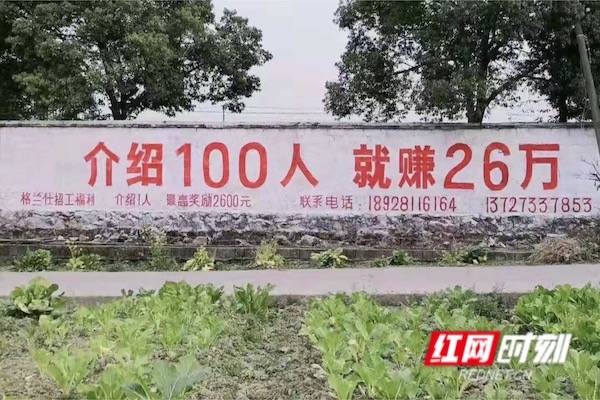 介绍100人 就赚26万 这组火爆朋友圈的墙体广告你知道刷在哪儿吗 格兰仕