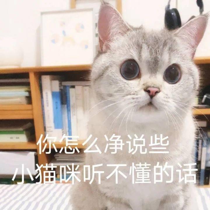 沙雕表情包貓咪臭娜娜表情包