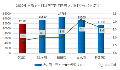 2020年文山市经济总量_文山市图片