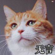 海保人寿净亏损扩大1.2亿元 保险产品问题频