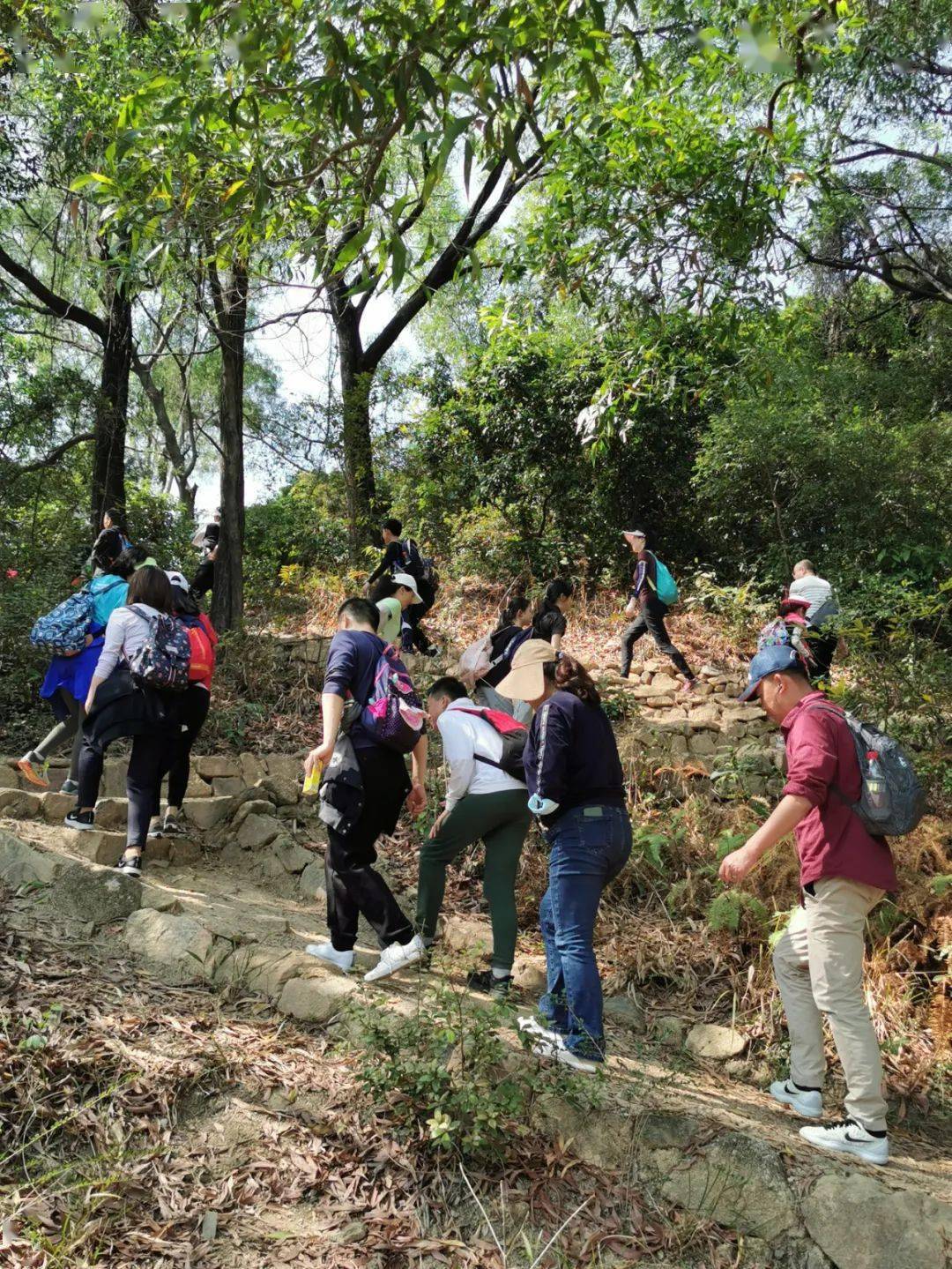 半日探索营童趣梅林山用山野的丰富陪伴孩子慢慢蜕变