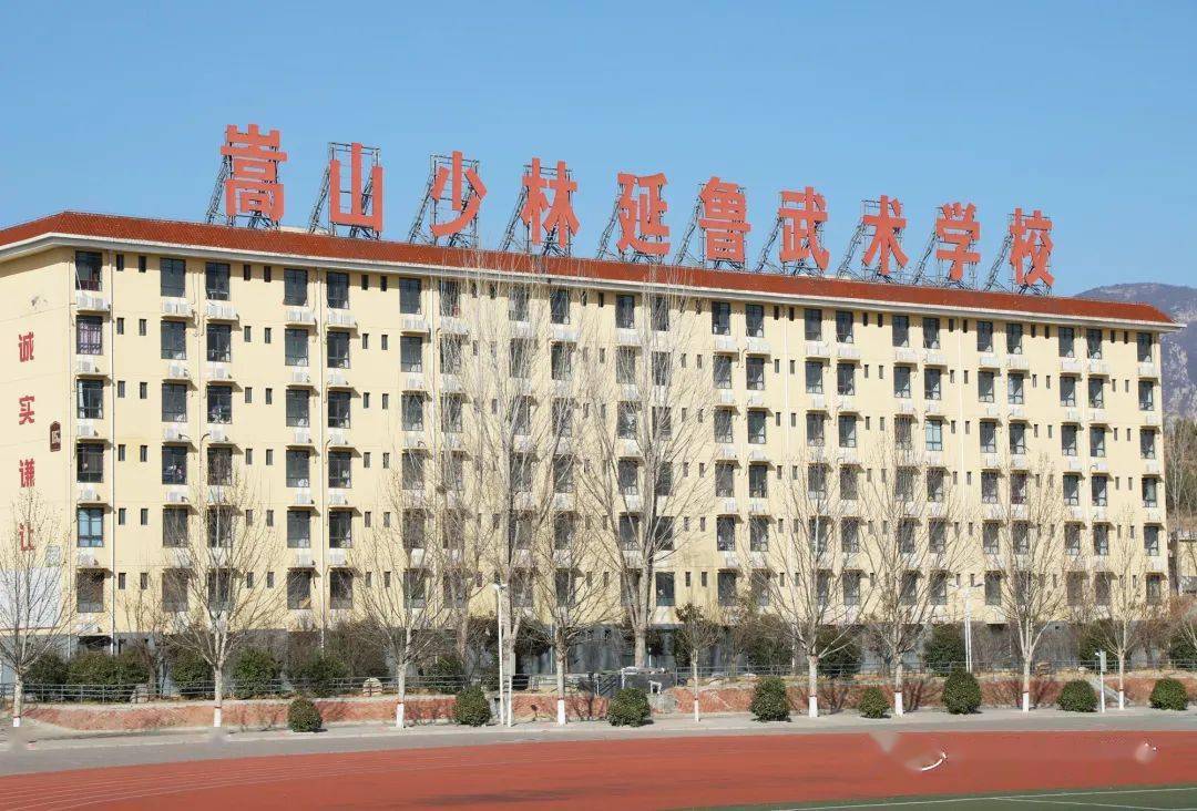 少年,我看你天赋极佳!