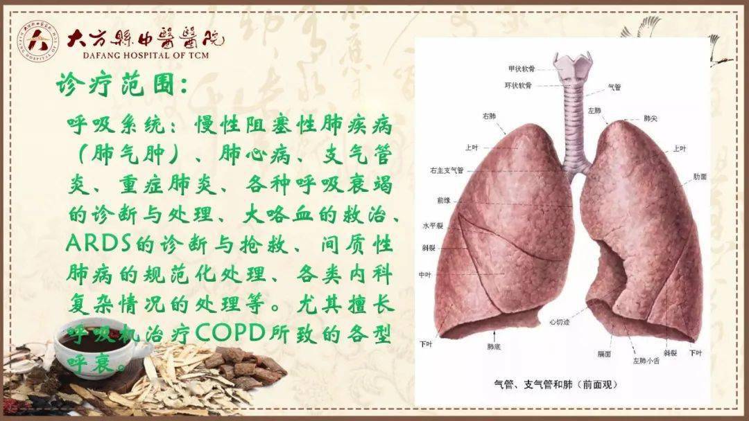 大方县中医医院心肺病科简介