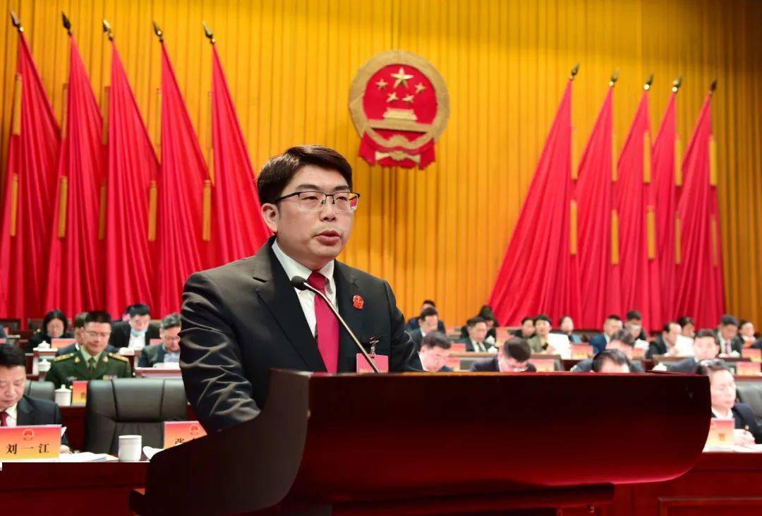 市人民检察院检察长陈芳所作的浏阳市人民检察院工作报告,书面审查了