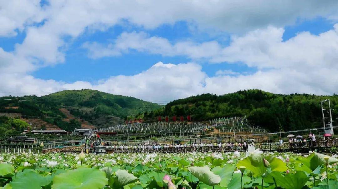 逛一逛桃溪村亲近一番旧桃源