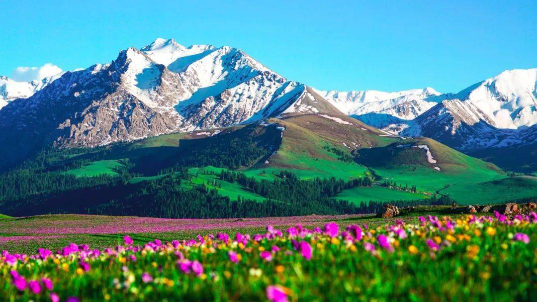 世界最美的风景草原图片