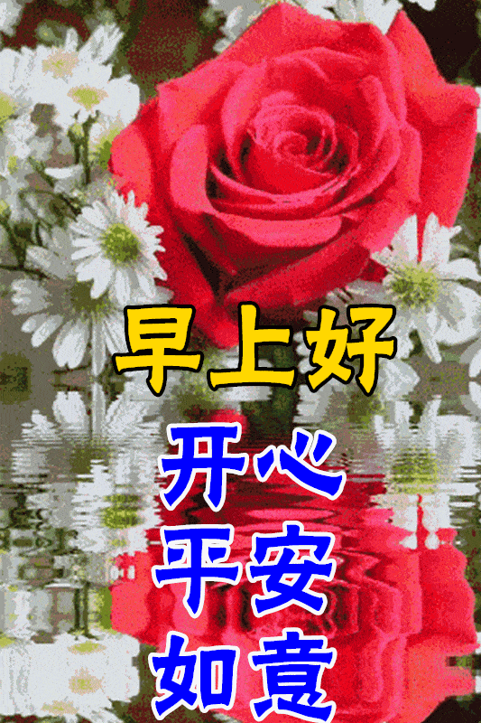 9d731e25978a4a55994fab8319d2c5cc.gif