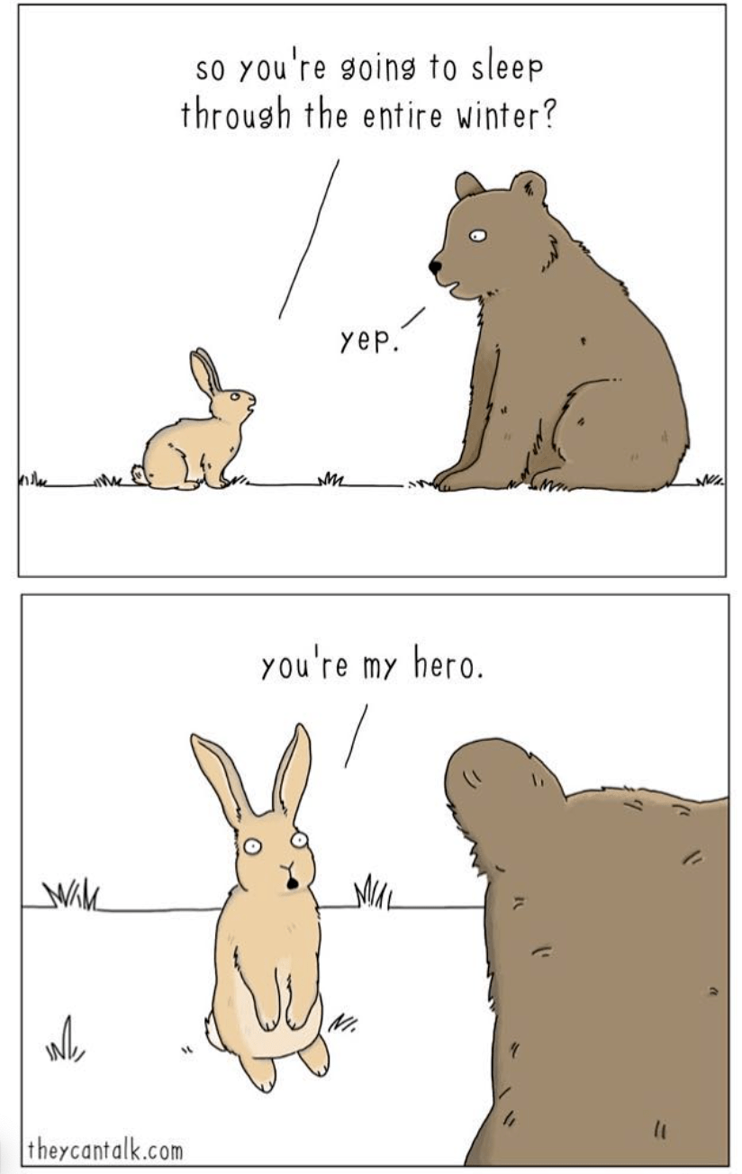 除了猫和狗, jimmy craig 还想想了许多其他动物的对话.