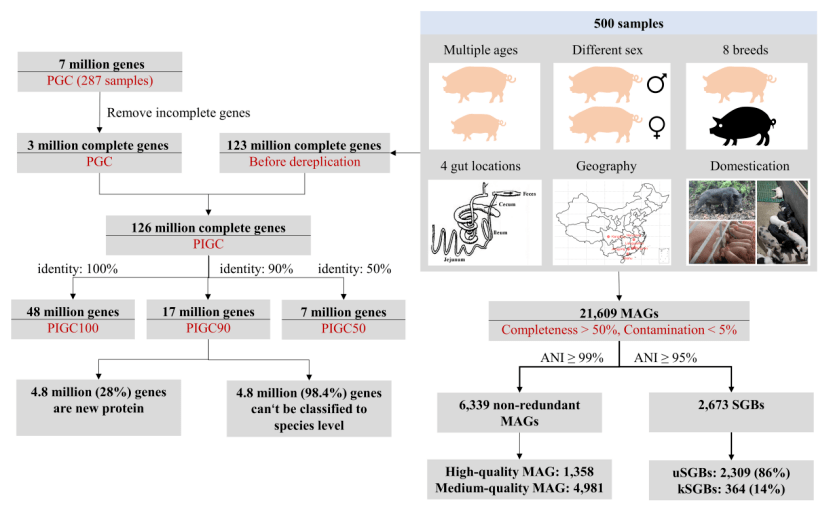 网站搭建步骤及流程图解 bd3e481bb7c04a0fb37fef424222ed74.png