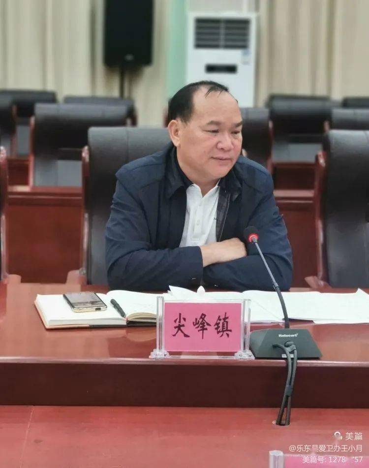 副县长,县爱卫会主任陈卫华讲话县政府副县长林振康讲话县委副书记