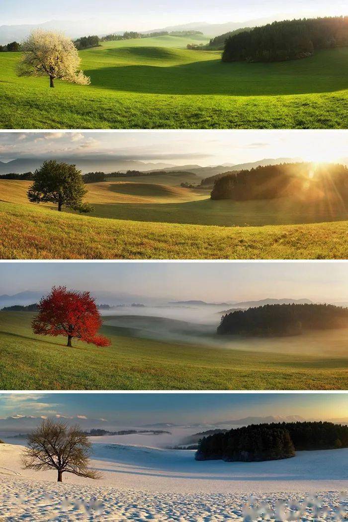 25张令人无限感慨的对比照片