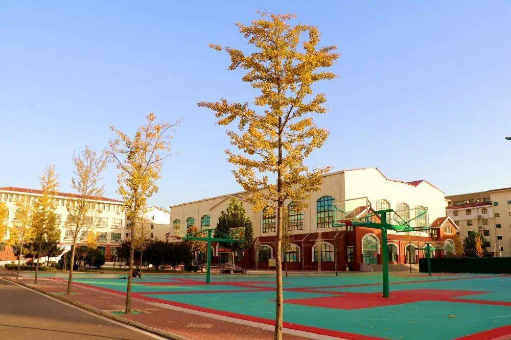 欢迎走进鹤壁科达学校