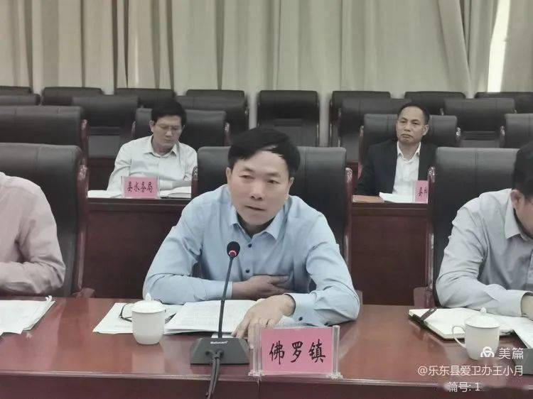 副县长,县爱卫会主任陈卫华讲话县政府副县长林振康讲话县委副书记