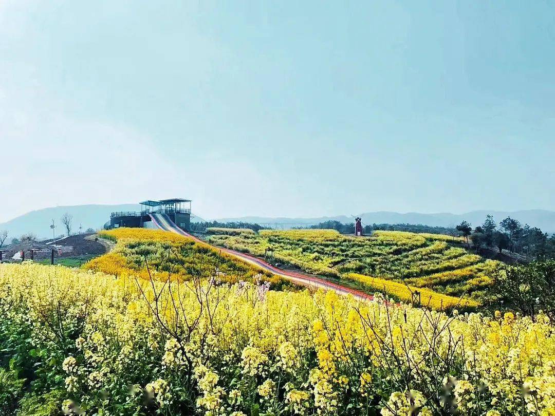 新春福利99元疯抢限量300张相约当阳玉泉花海一起遇见最撩人的春天