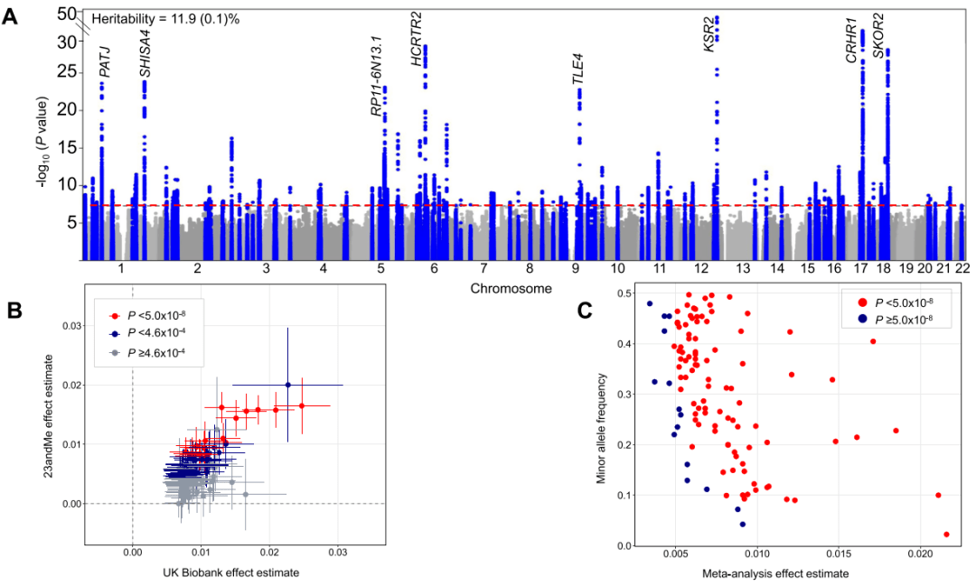 个位点具有全基因组显著性.