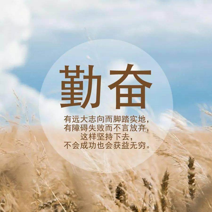 充滿陽光的勵志句子很流行的精闢短句