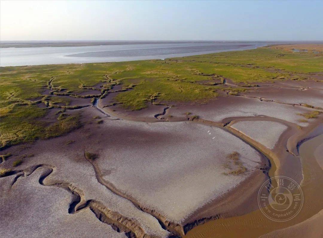 构成了保护区湿地生态类型中独特又著名的"红海滩"景观