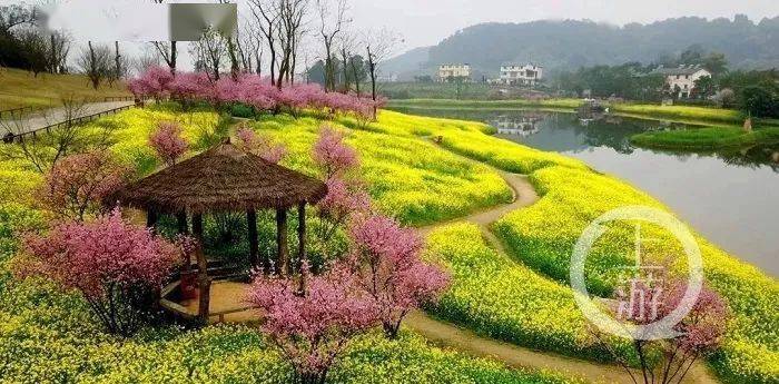 官宣！2021年重庆春季赏花攻略来了，铜梁这几个地方上榜！
