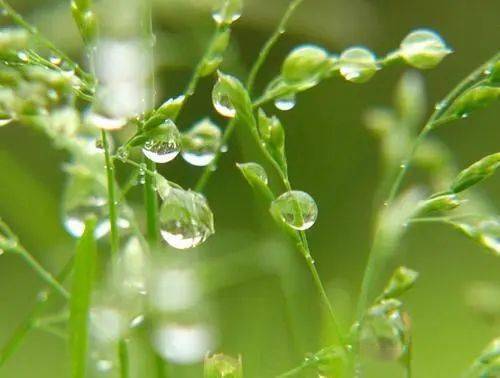 文化石城詩詞春日賞一處煙雨等一人歸來