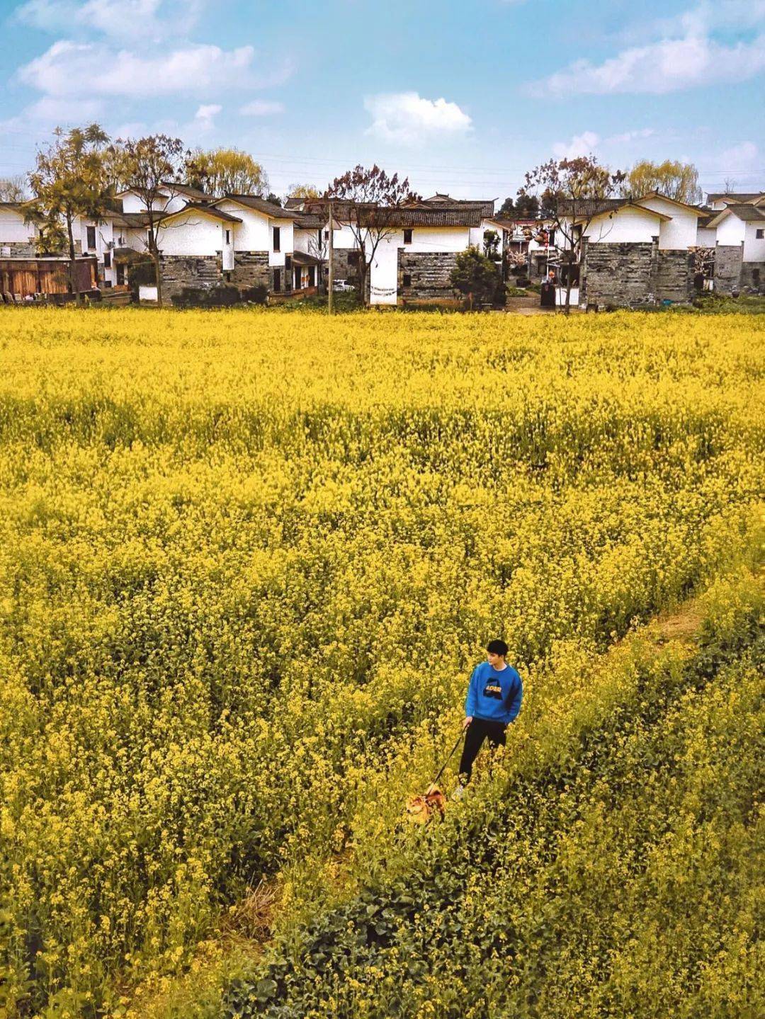 春暖花开日,这些宝藏赏花地,值得你打卡