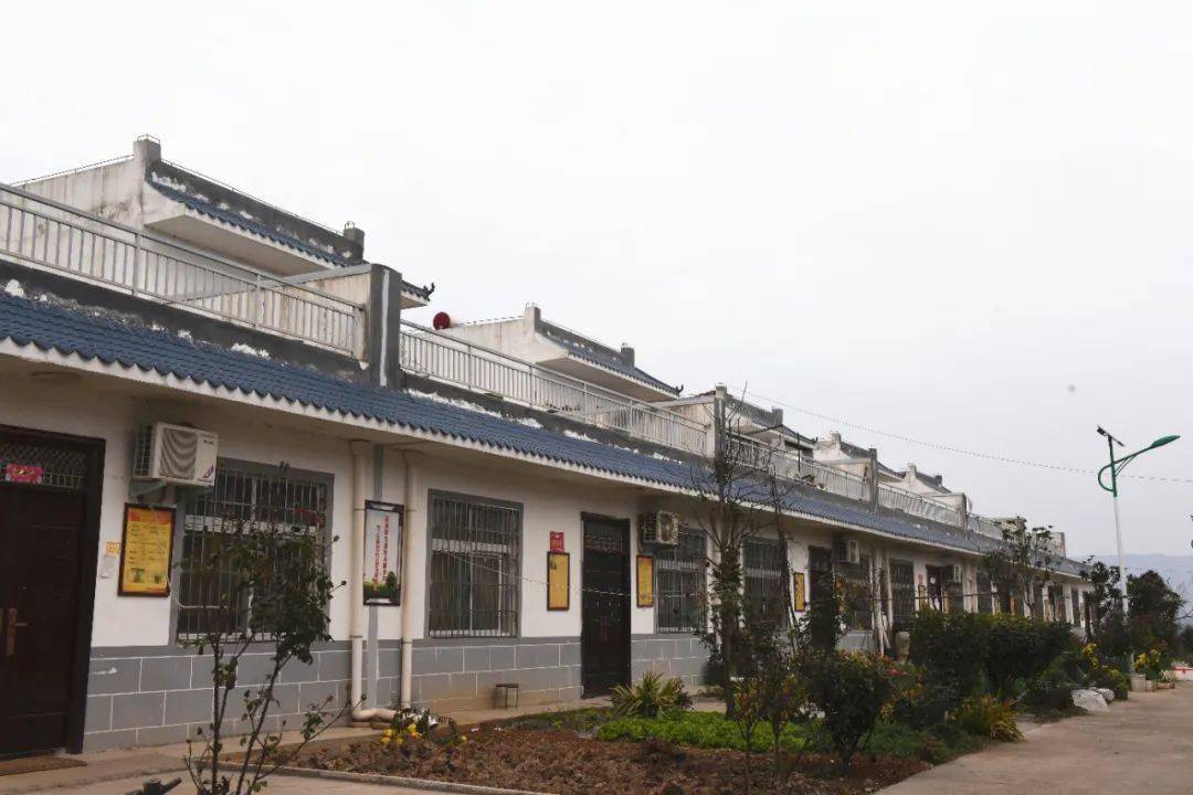 后湾村再也不是旧模样