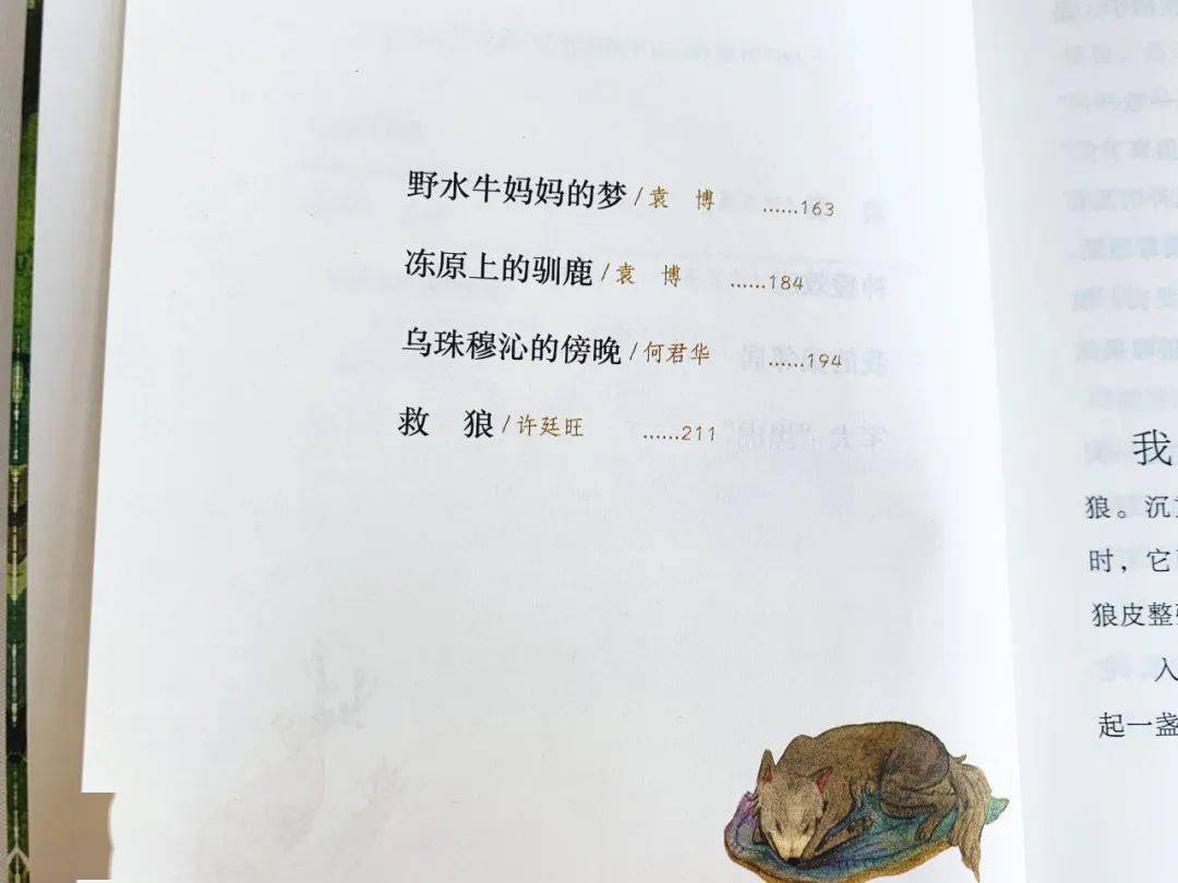d3f458ab7ec1472f99ff6ebd15be67d4.jpeg