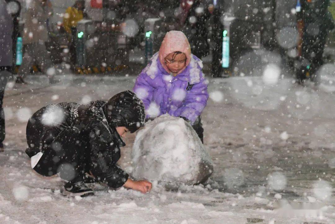 郑州迎来牛年首场暴雪河南多地降大雪目前多条高速禁行