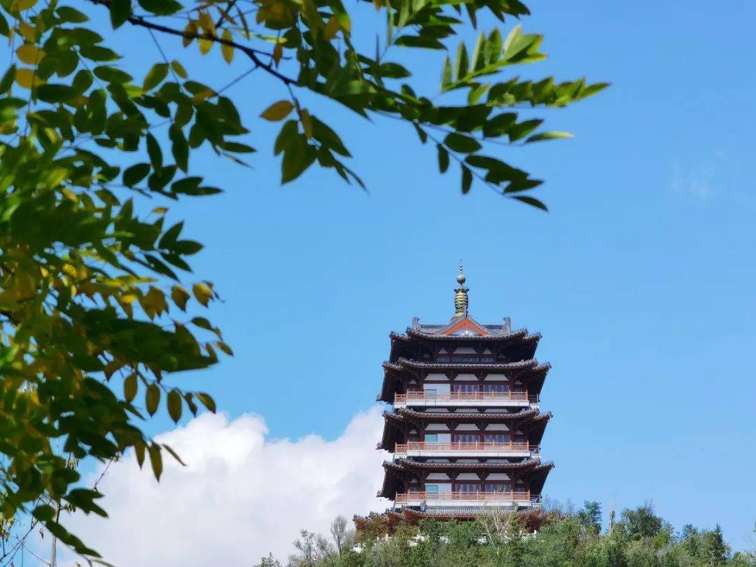 乐都这些人相机里的照片简直太美了