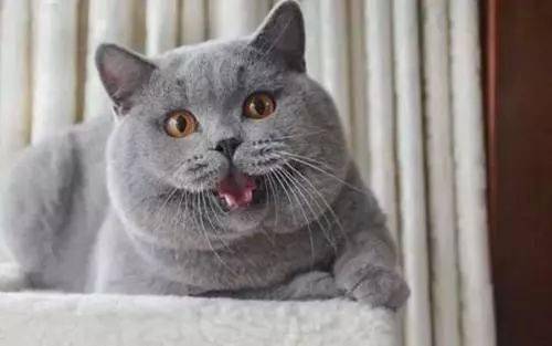 2e9bd1156ed9497bb540824d8e2f30a2.jpeg