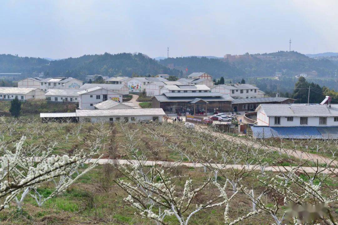 牡丹区胡集镇黄屯村人口有多少_菏泽牡丹区