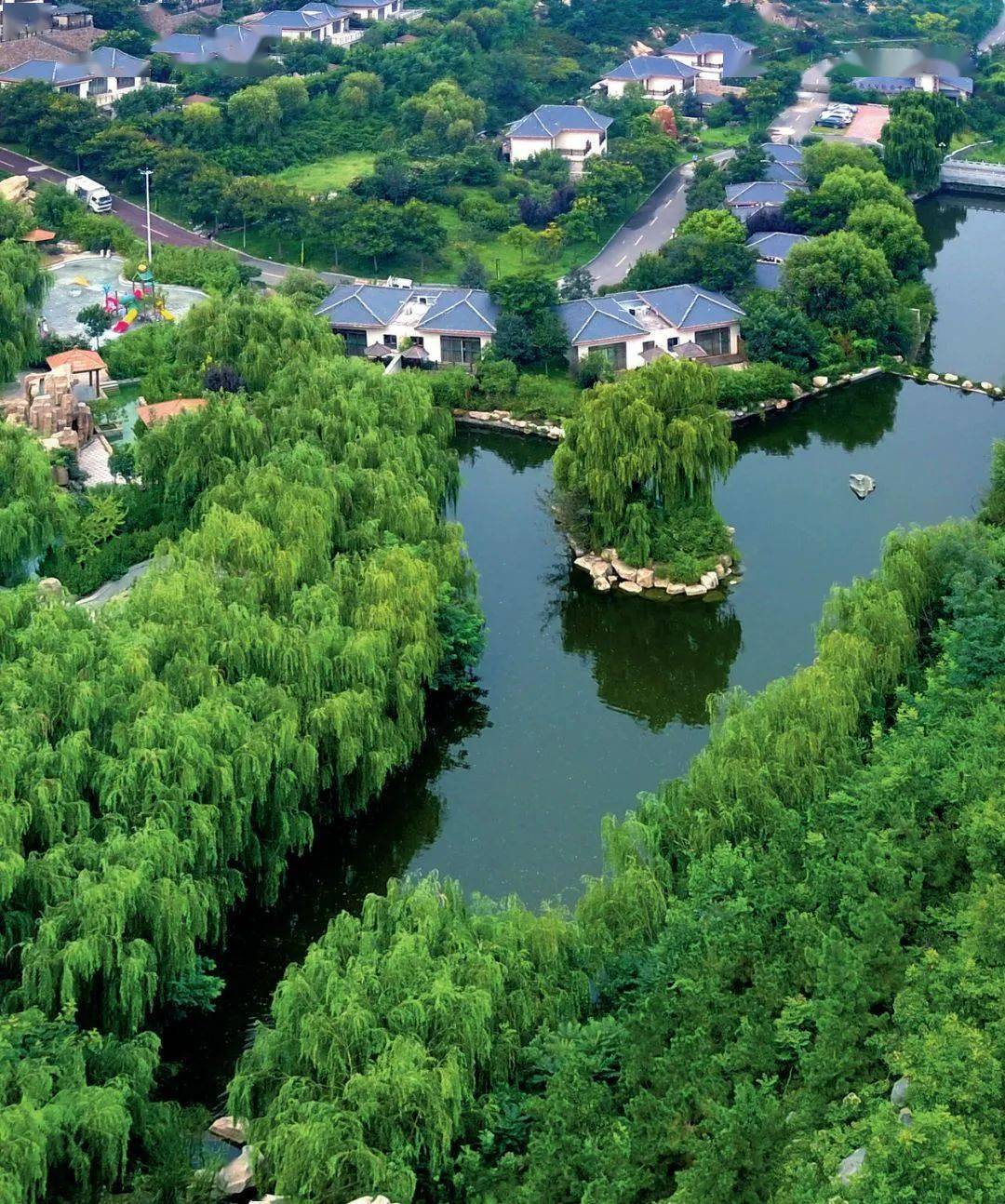 泰山温泉暖天下