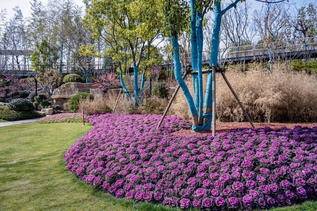 春有宴當不負紫琅公園邀您賞花