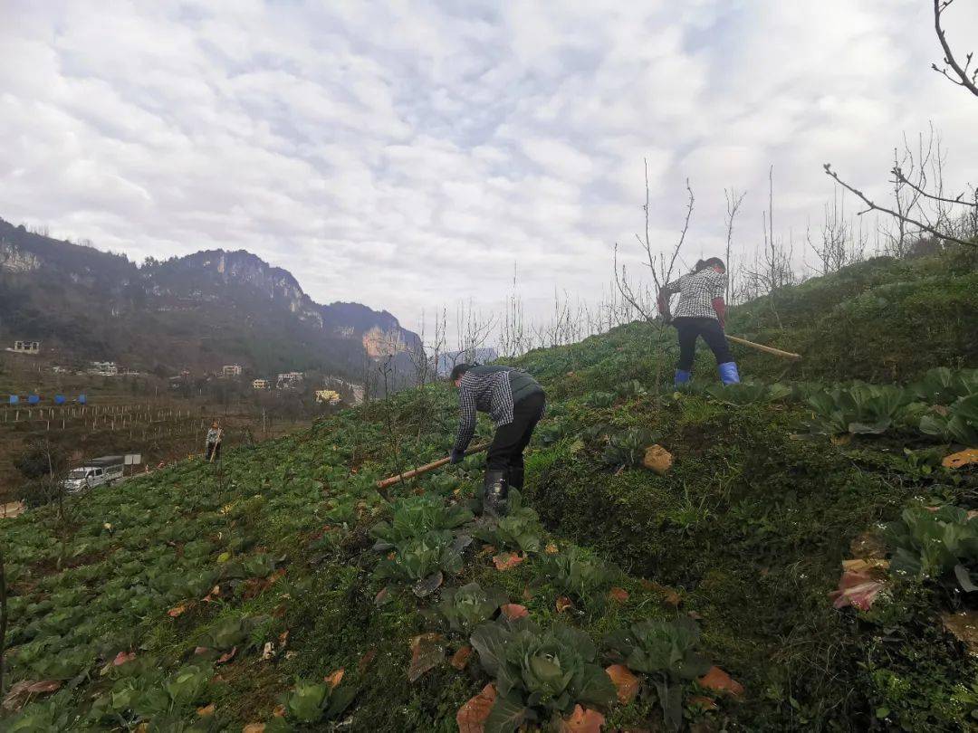 武宣县乡村人口_武宣县中学图片