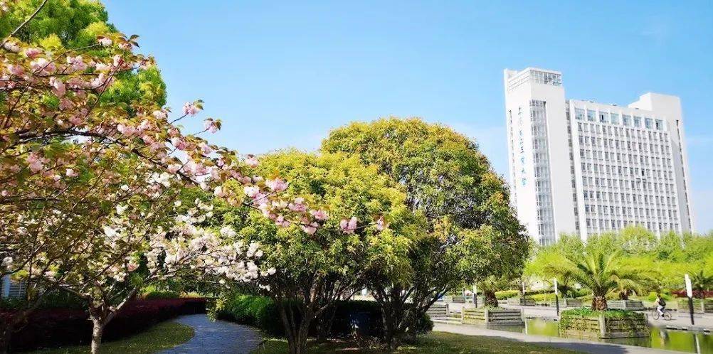 sspu元宵节趣味灯谜你能答出几个