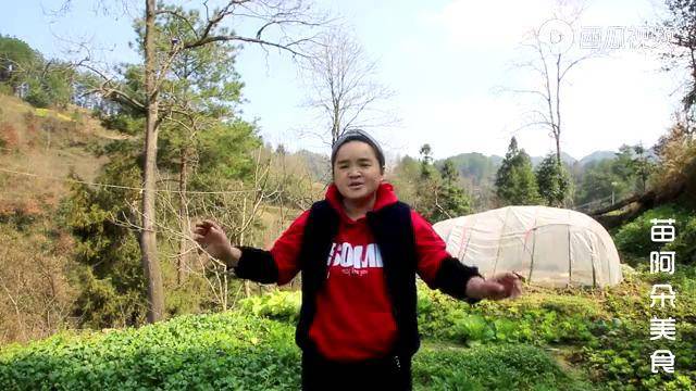 苗大姐奇异杂酱面小朱一人一盆扒光光一个比一个吃得多又快