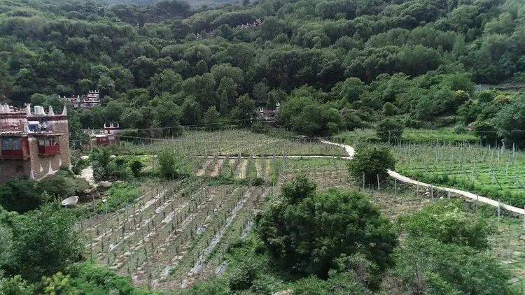 巴藏镇后背山村多少人口_贵州巴平村山村图片(3)