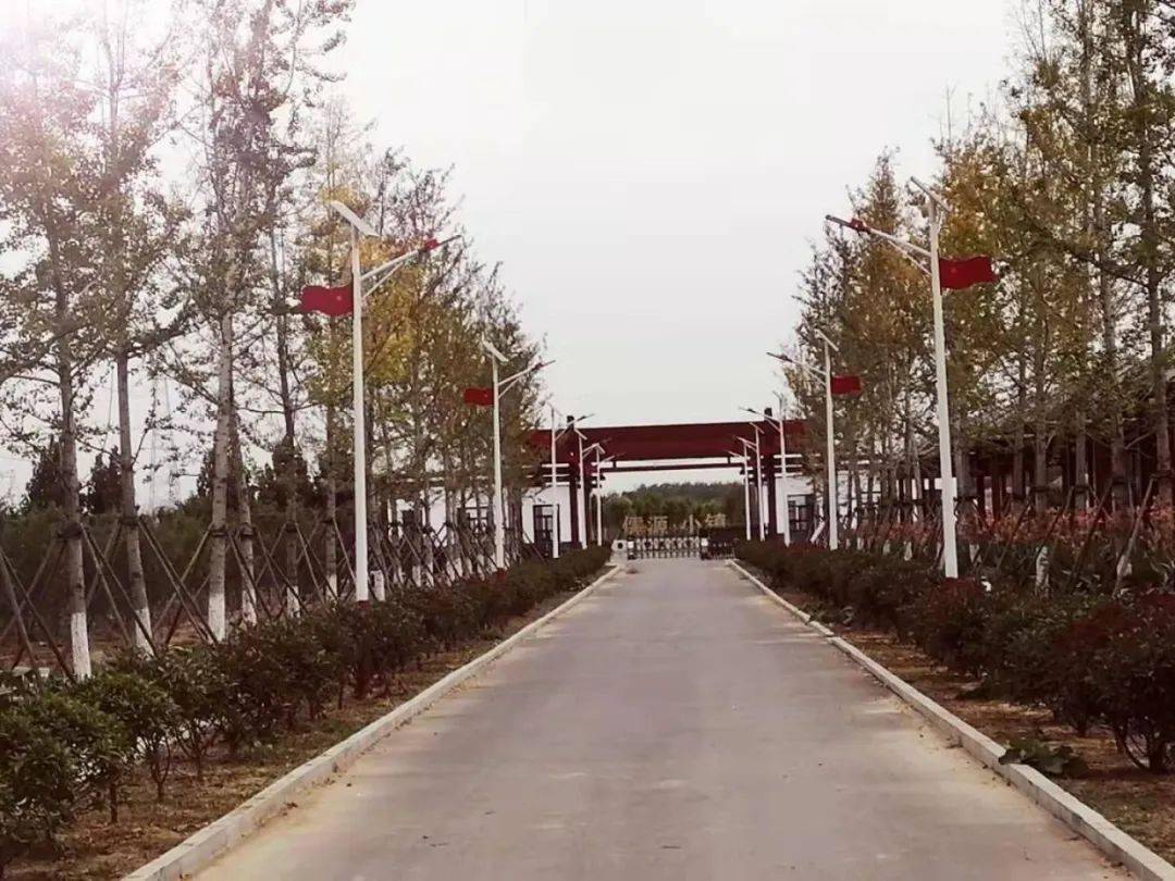 十里桃花开迎风踏春来2021曲阜儒源小镇桃花节项目招商