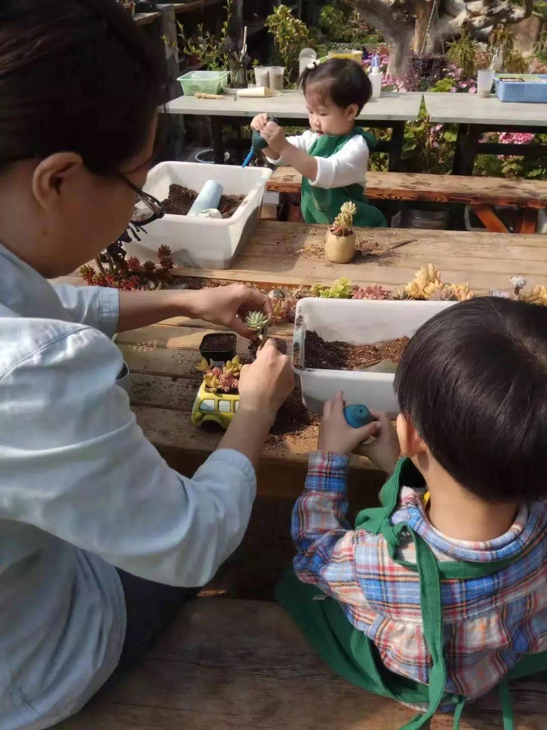 多肉小说排行榜_十八本最有价值小说排行,本本经典好评颇多,书荒不用到处找书了