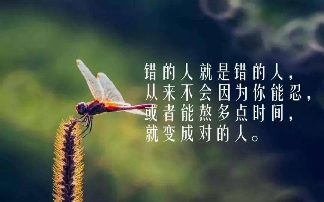 怎么样写自己的人生感悟 be373878d5fa476987b305545d0080bc.jpeg