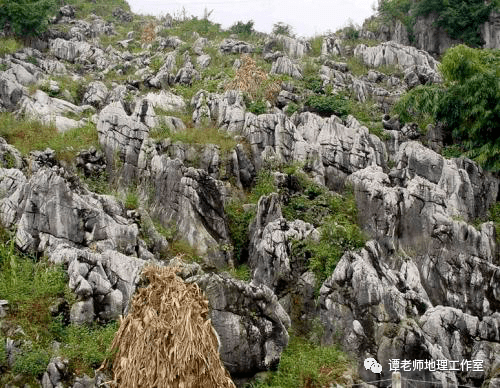 沙漠化沙漠化:指干旱和半干旱地区,在干旱多风和具有疏松沙质地表的