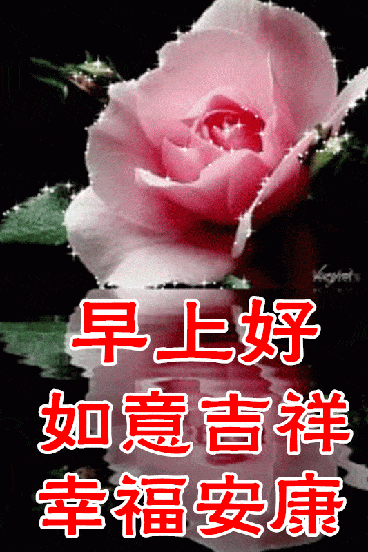 2月27日最漂亮早上好动态表情图片大全早晨好动图美图大全