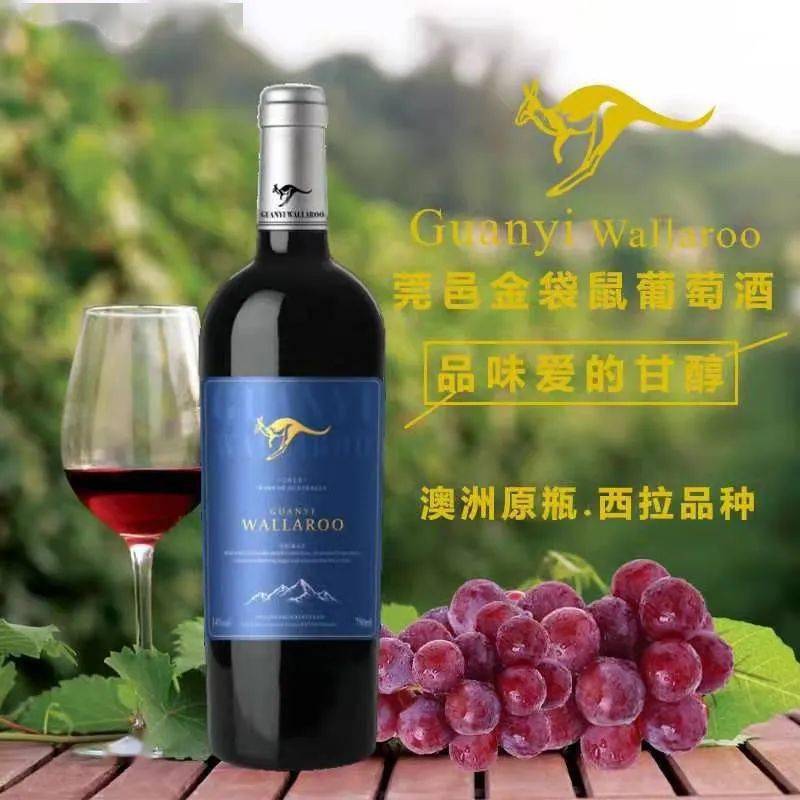 2021机遇来了扶贫政策最好的项目澳洲进口红酒莞邑金袋鼠一大波福利