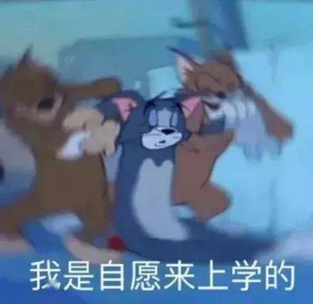 feb5a8ce7ede4f5e8a698a70b2a78c9c.jpeg
