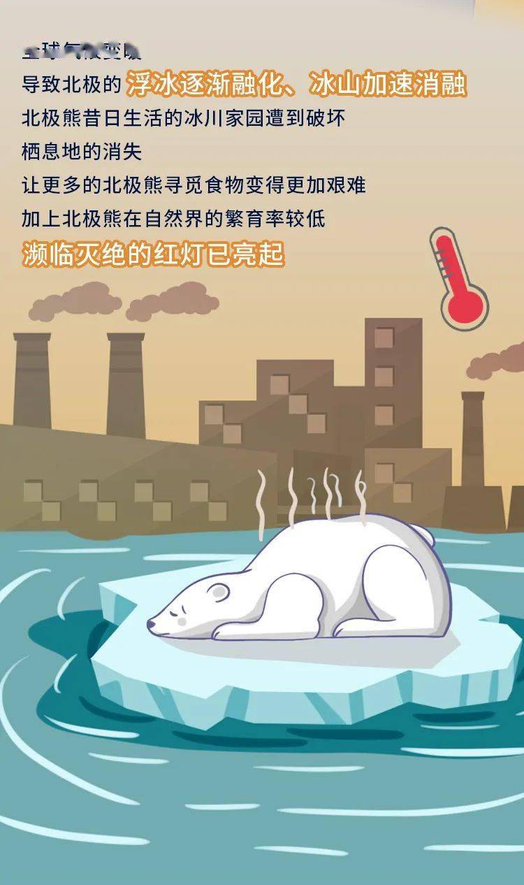 国际北极熊日internationalpolarbearday