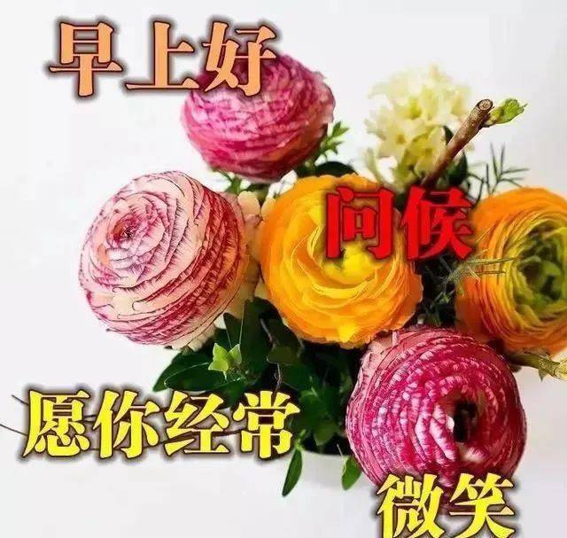 春季清晨最美祝福語送給你早上好朋友特別漂亮早晨問候動態圖