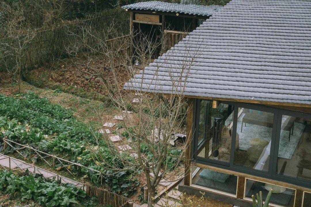 曝光这个山中小院