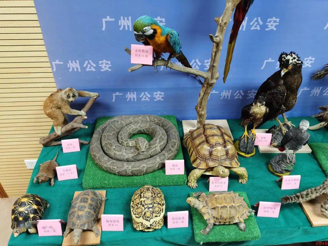 荣昌外来人口_重庆市荣昌区安富中学