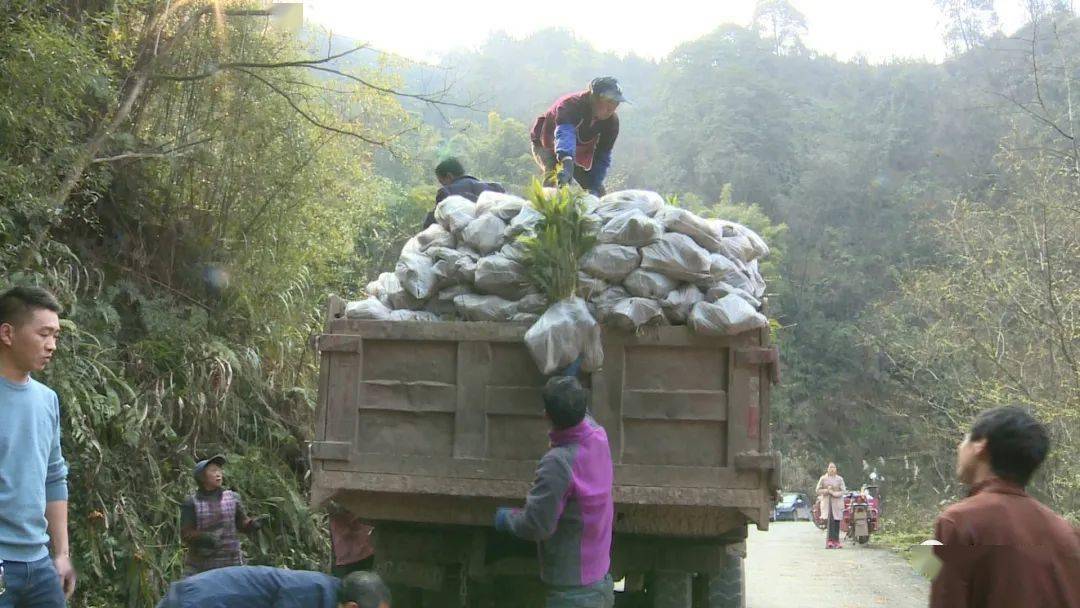 盐津县有多少人口_云南盐津 四群教育 进农家 警民携手促春耕