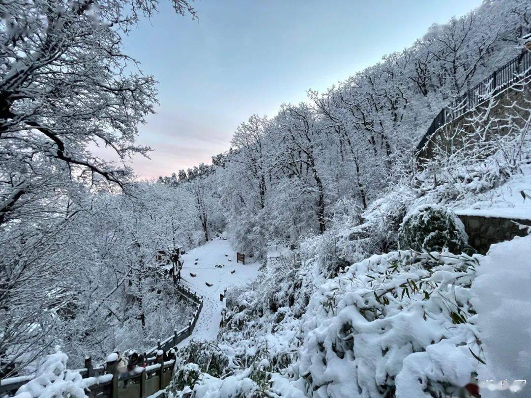 這裡的雪景美若仙境彬州市天氣預報來了